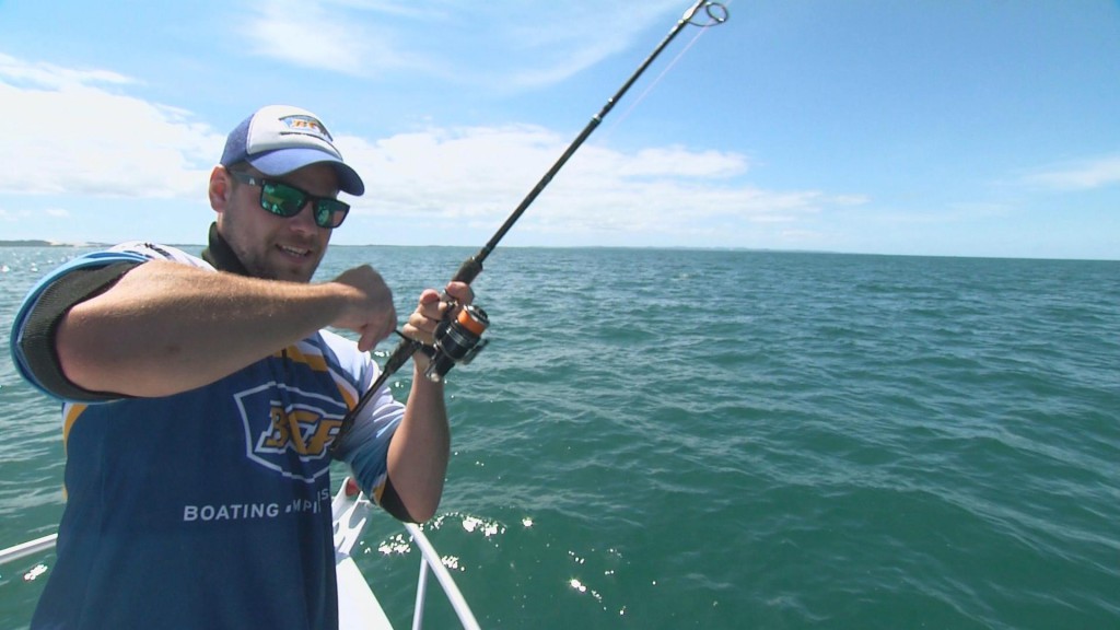 BCF Bay Mackerel Fishing