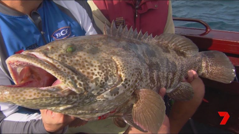 Casting in the creeks of the Burdekin