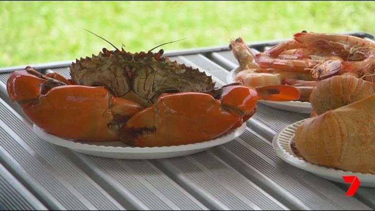 A lesson in catching crabs