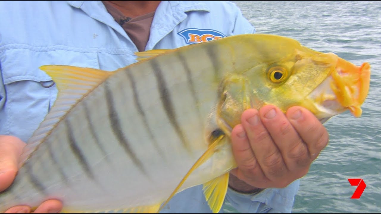 Fraser Coast Fishing - Creek To Coast