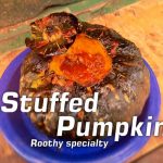 Roothy’s Stuffed Pumpkin