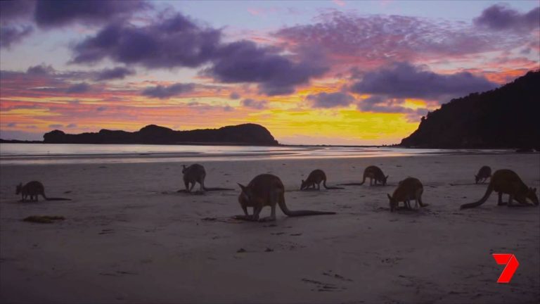 Mackay Tourism and Seaforth Fishing