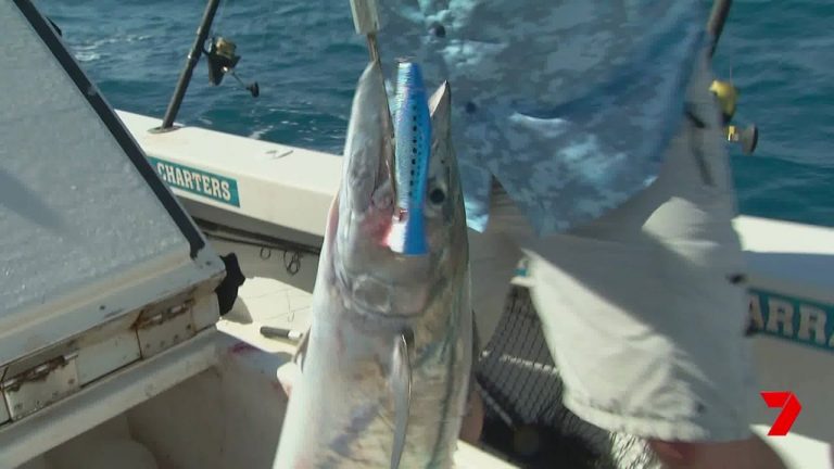 Catching Mackerel on Poppers