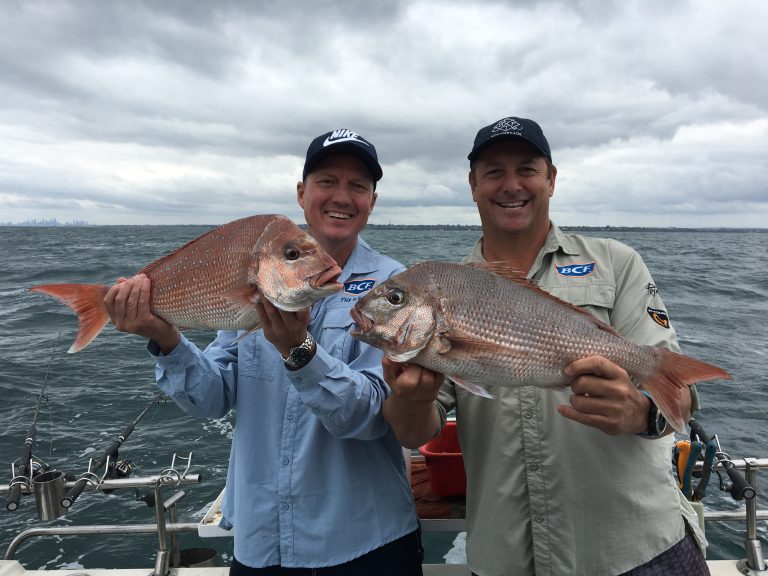 Chasing Snapper in Port Phillip Bay