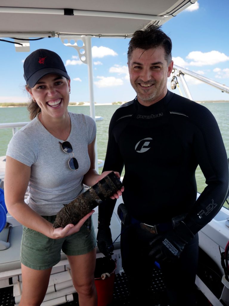 Sharks in South-East Queensland