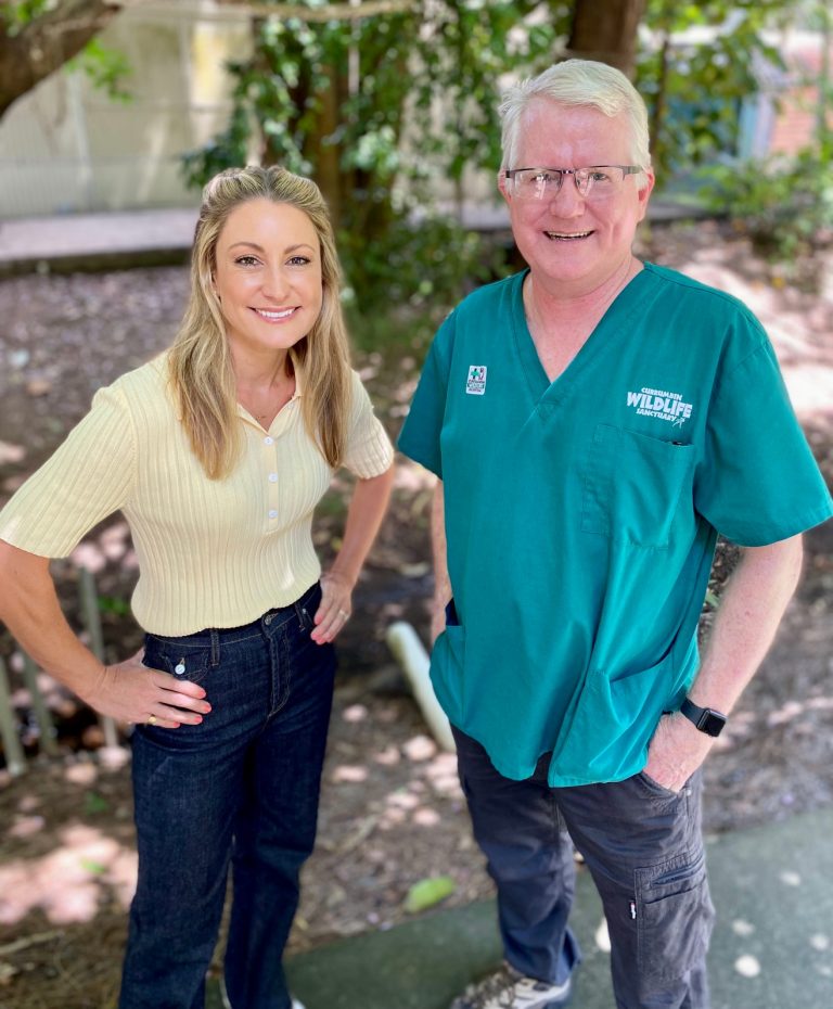 Inside the Currumbin Wildlife Hospital