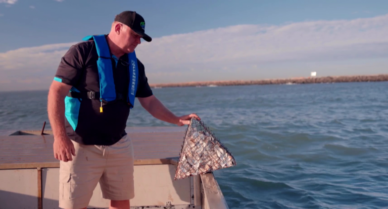 The Largest Community-Driven Shellfish Reef Restoration in Australia